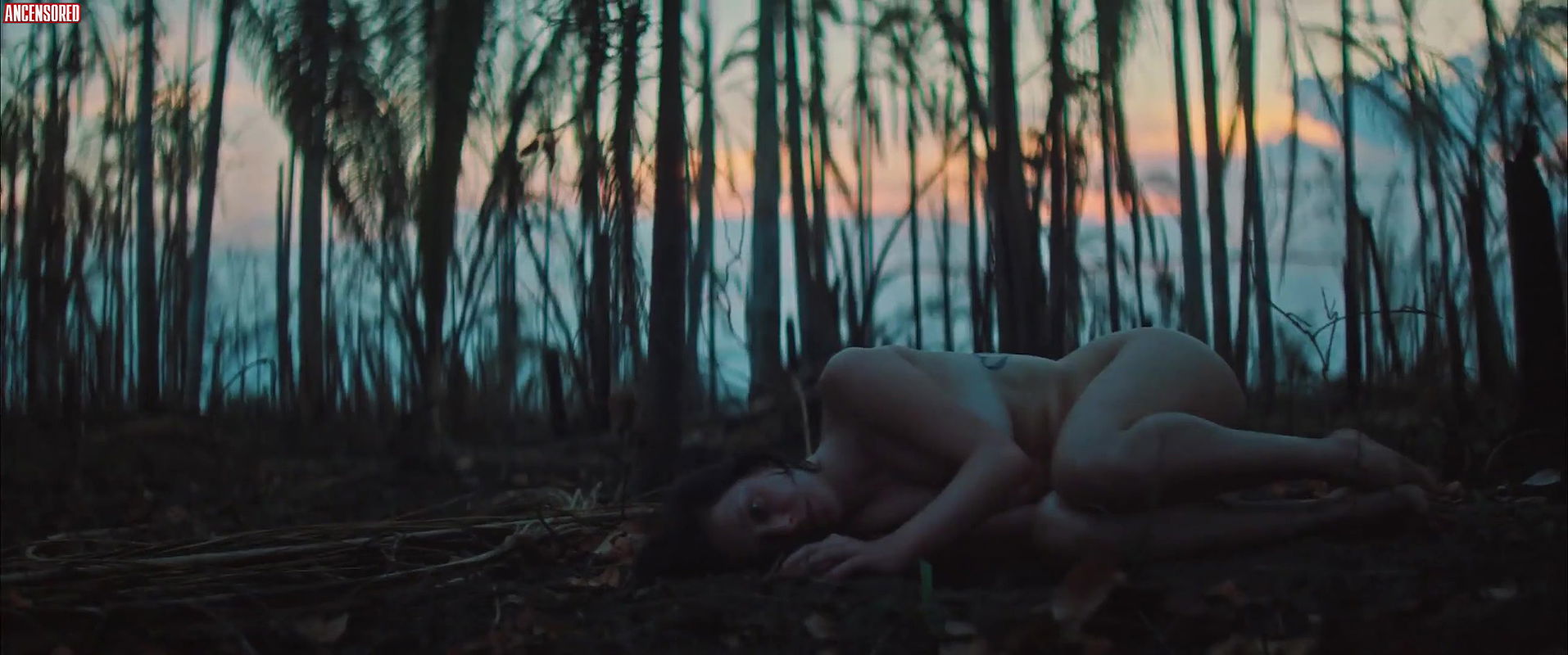 Carol Abras – rodantes