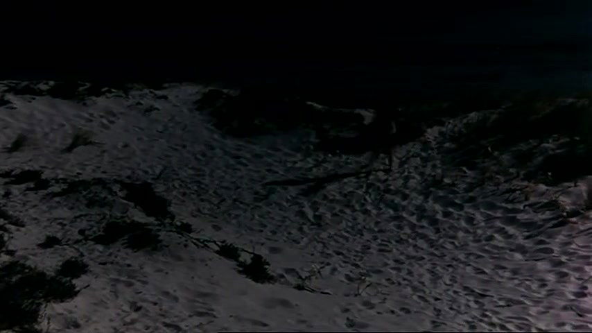 Carole Andr – violentata sulla sabbia