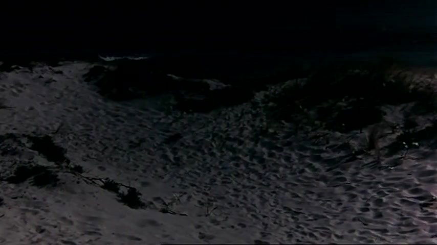 Carole Andr – violentata sulla sabbia