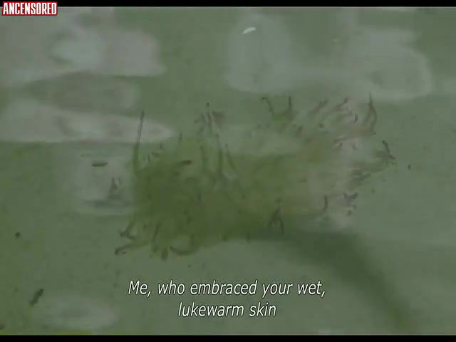 carolina alamino – the daughters of fire