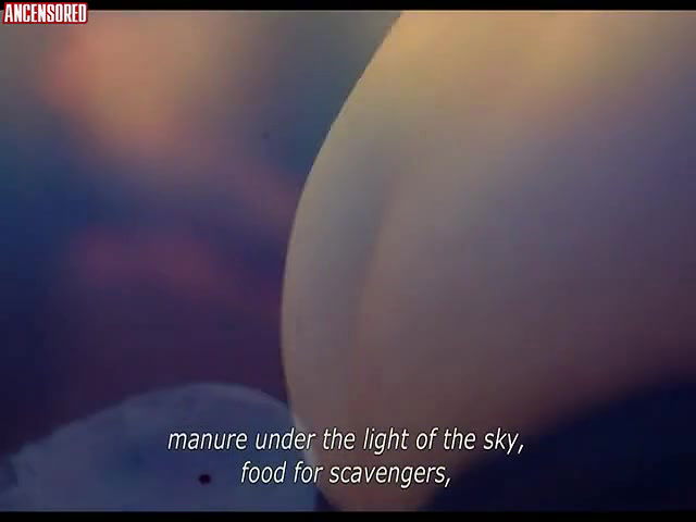 carolina alamino – the daughters of fire