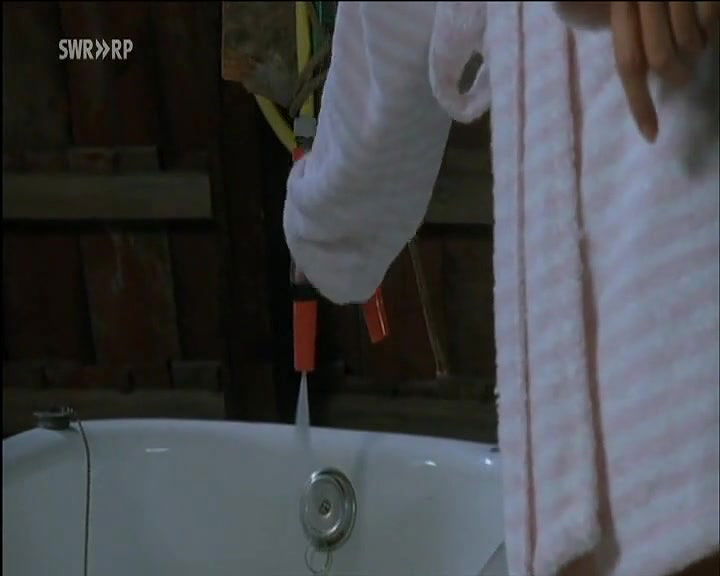 Catherine H Flemming – Die Meute der Erben