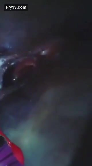 Wet pussy of red bra girl