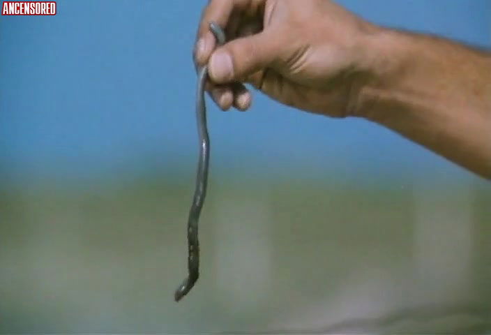 Charlotte Alexandra – Une Vraie jeune fille