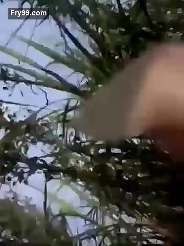 In jungle Desi sexy bhabi