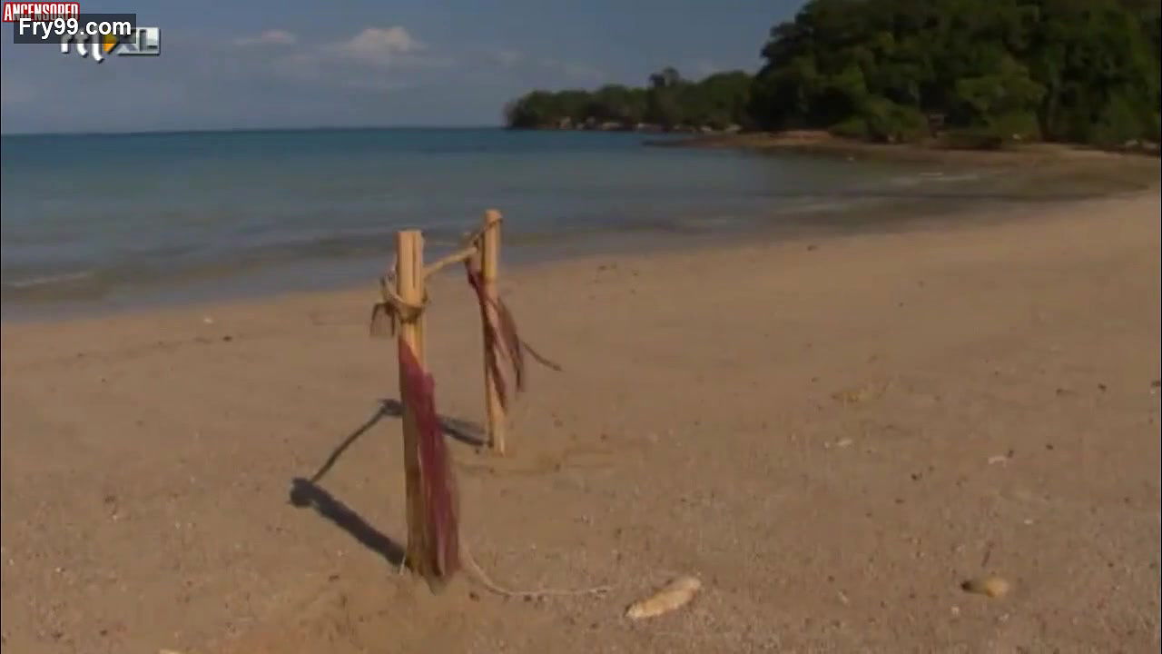 Cherry – Adam zoekt Eva