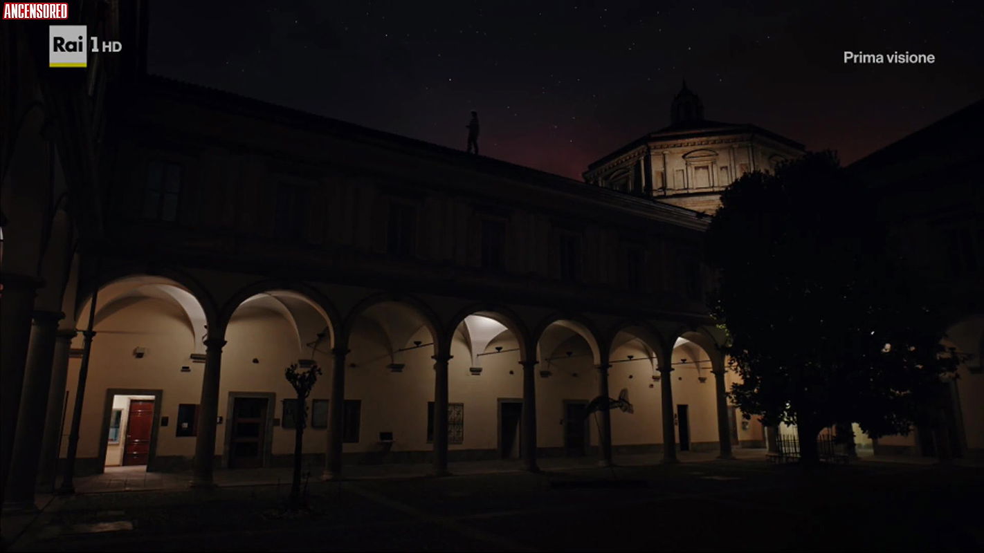 chiara pia aurora – the company of the swan