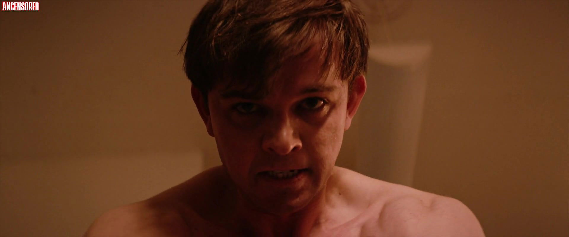 chloe carroll – the honeymoon phase