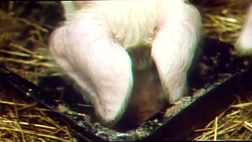 Christel Loris – roulette