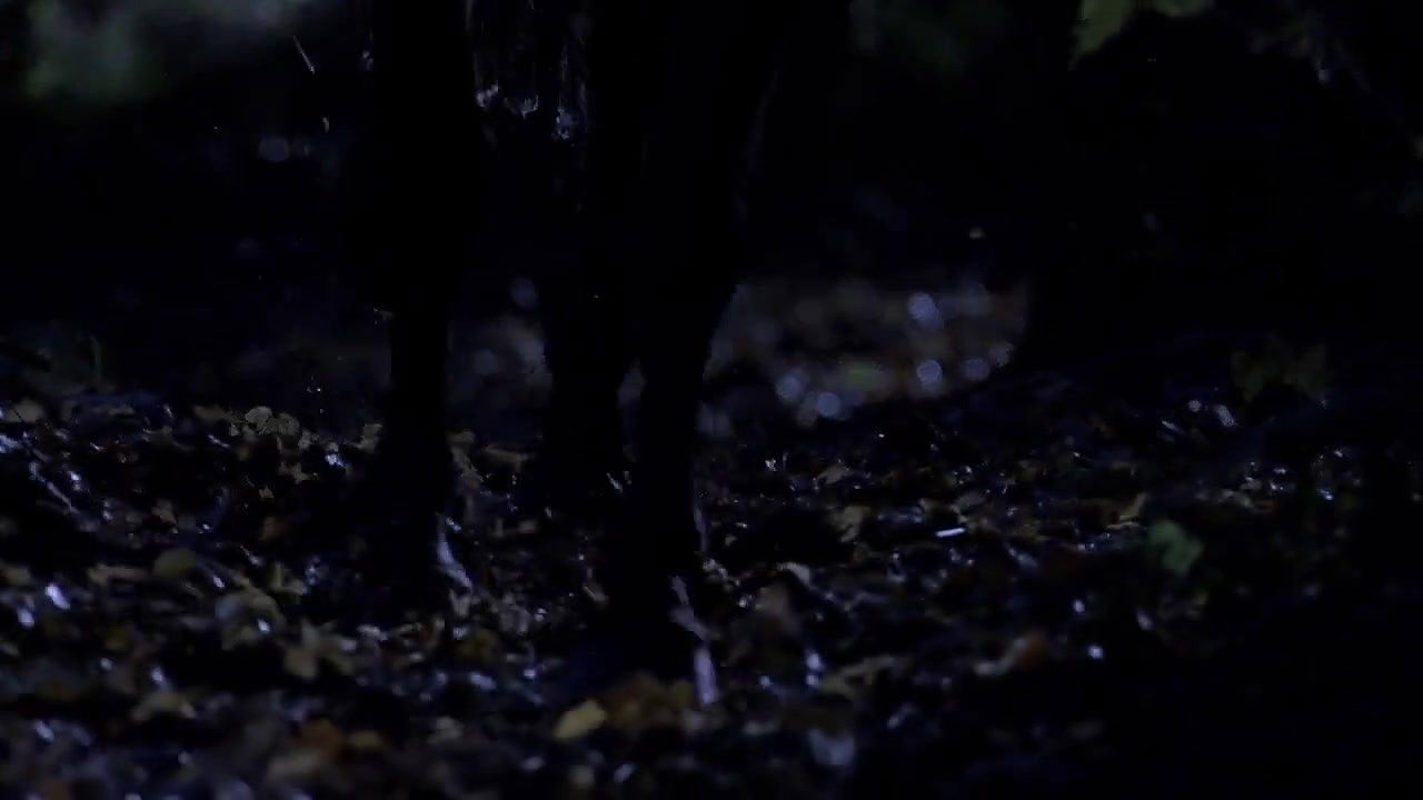 Claire Forlani – Camelot