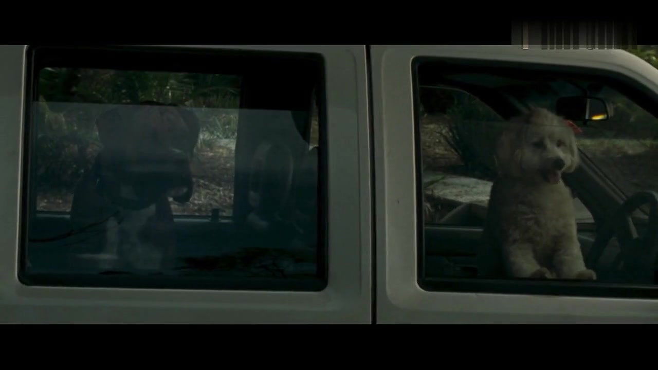 Claire van der Boom – the square