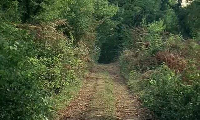 clara hopf – apache woman