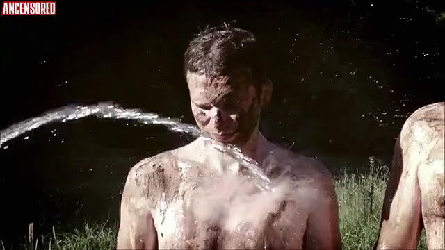 claudia gregersen – timber will fall