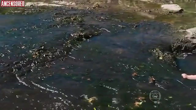 Clo Pires – o tempo e o vento