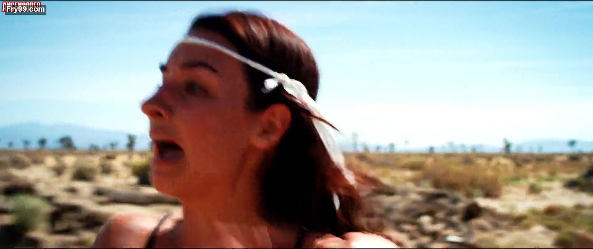 Cortney Palm – dead ant