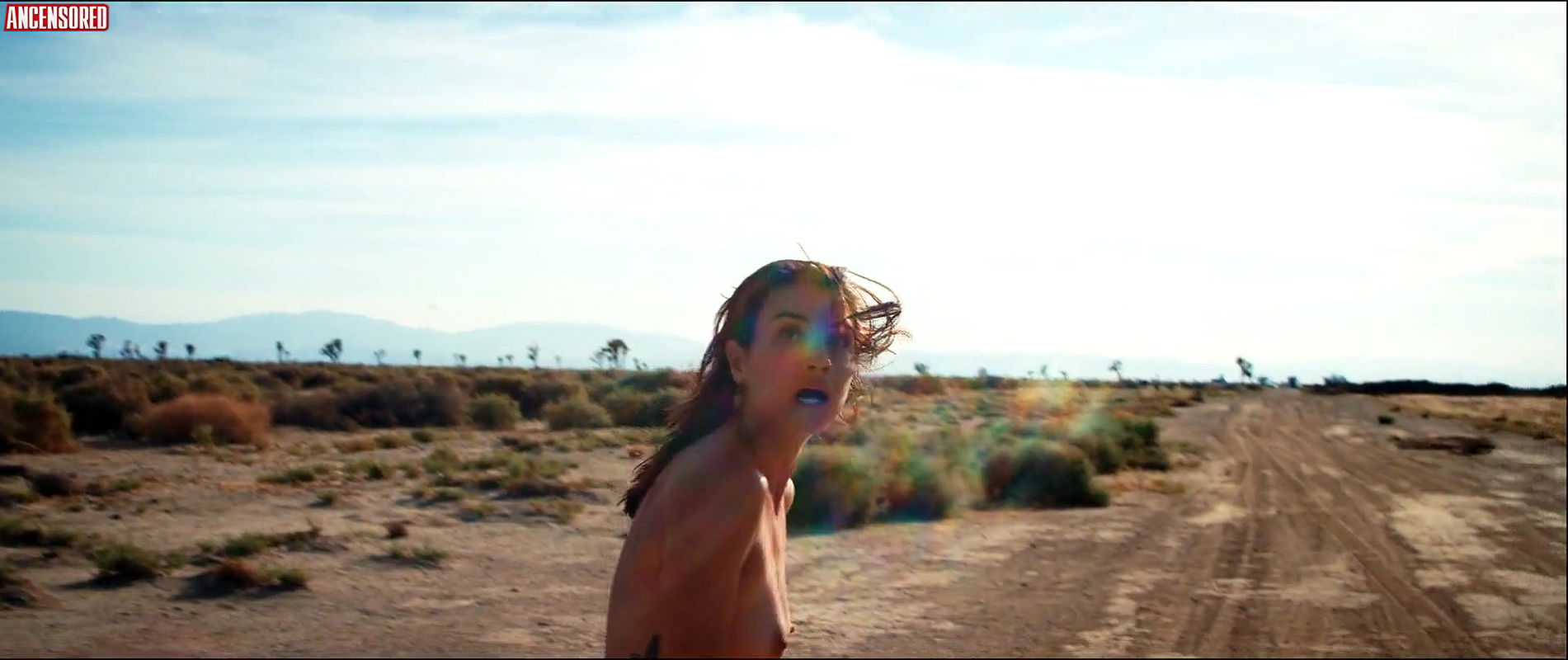 Cortney Palm – dead ant