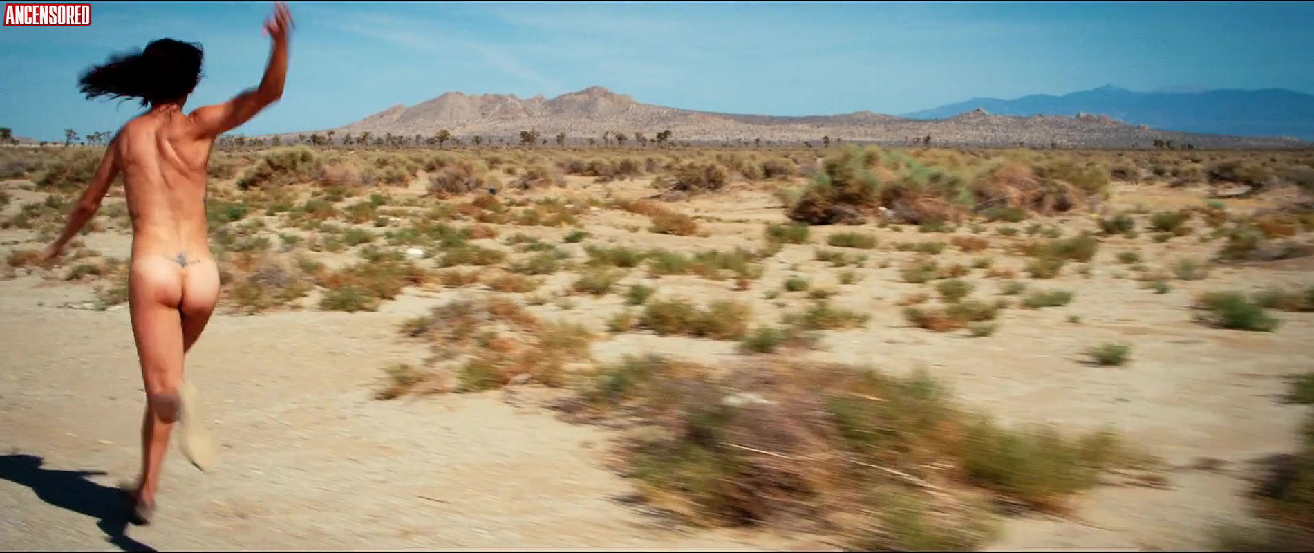 Cortney Palm – dead ant