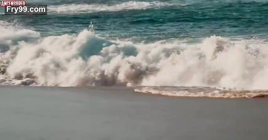 Cortney Palm – disappearance