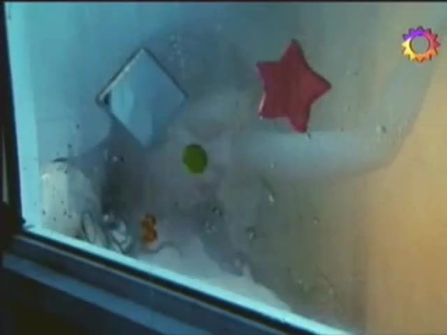 CP – Mujeres asesinas AR