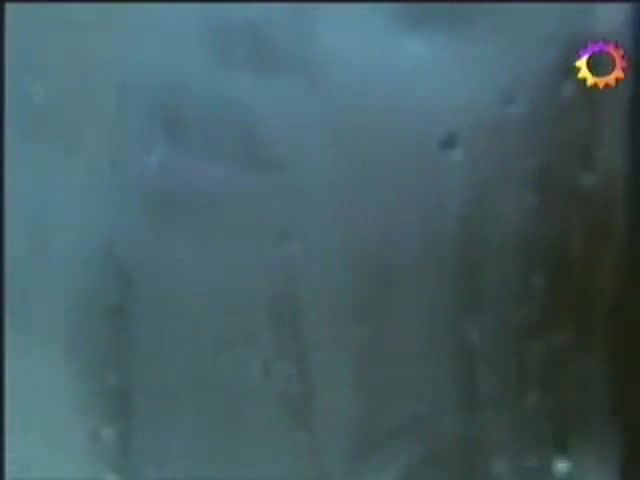 CP – Mujeres asesinas AR