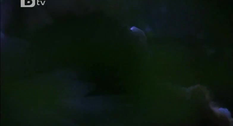 Cristiana Capotondi – sisi