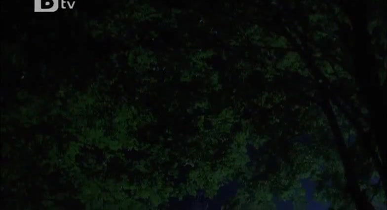 Cristiana Capotondi – sisi