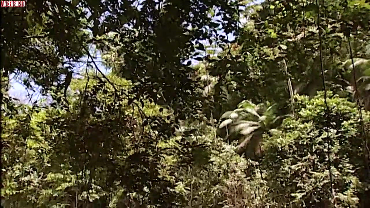 Cristiana Oliveira – Porto dos Milagres