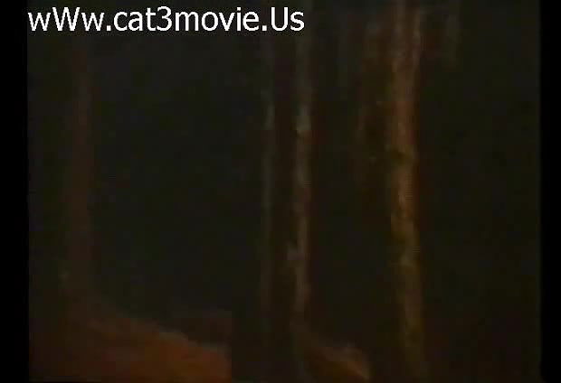 D muniz – dama de paus 2