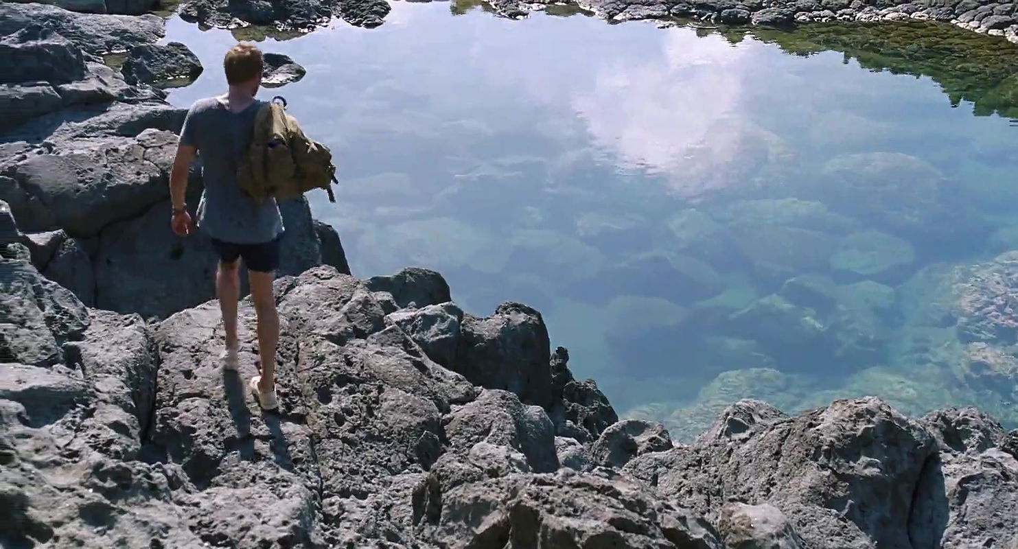 Dakota Johnson – A Bigger Splash