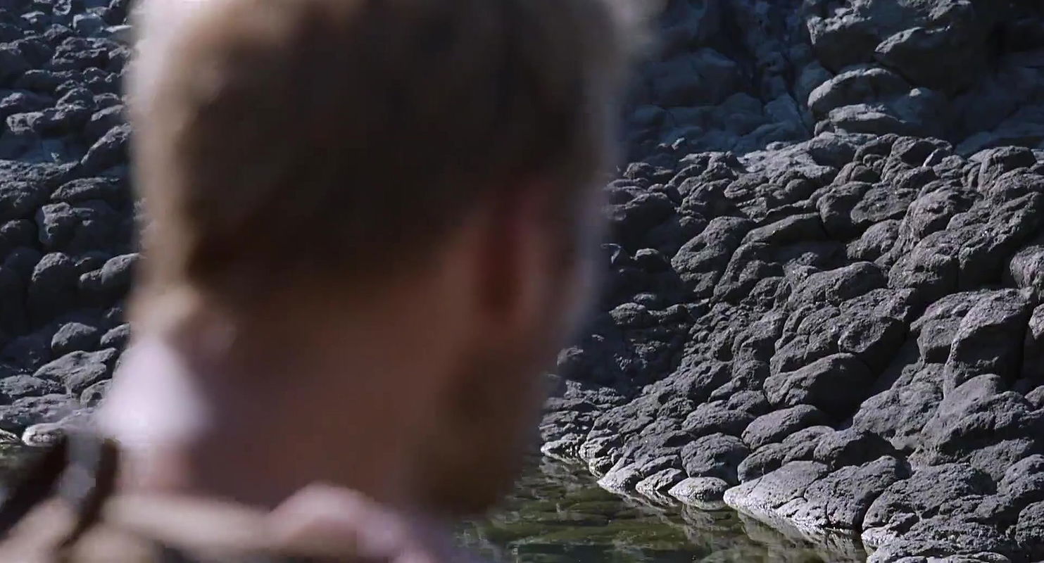 Dakota Johnson – A Bigger Splash