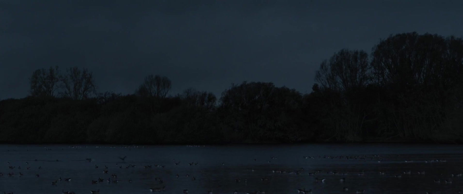 dana markova – deckname holec