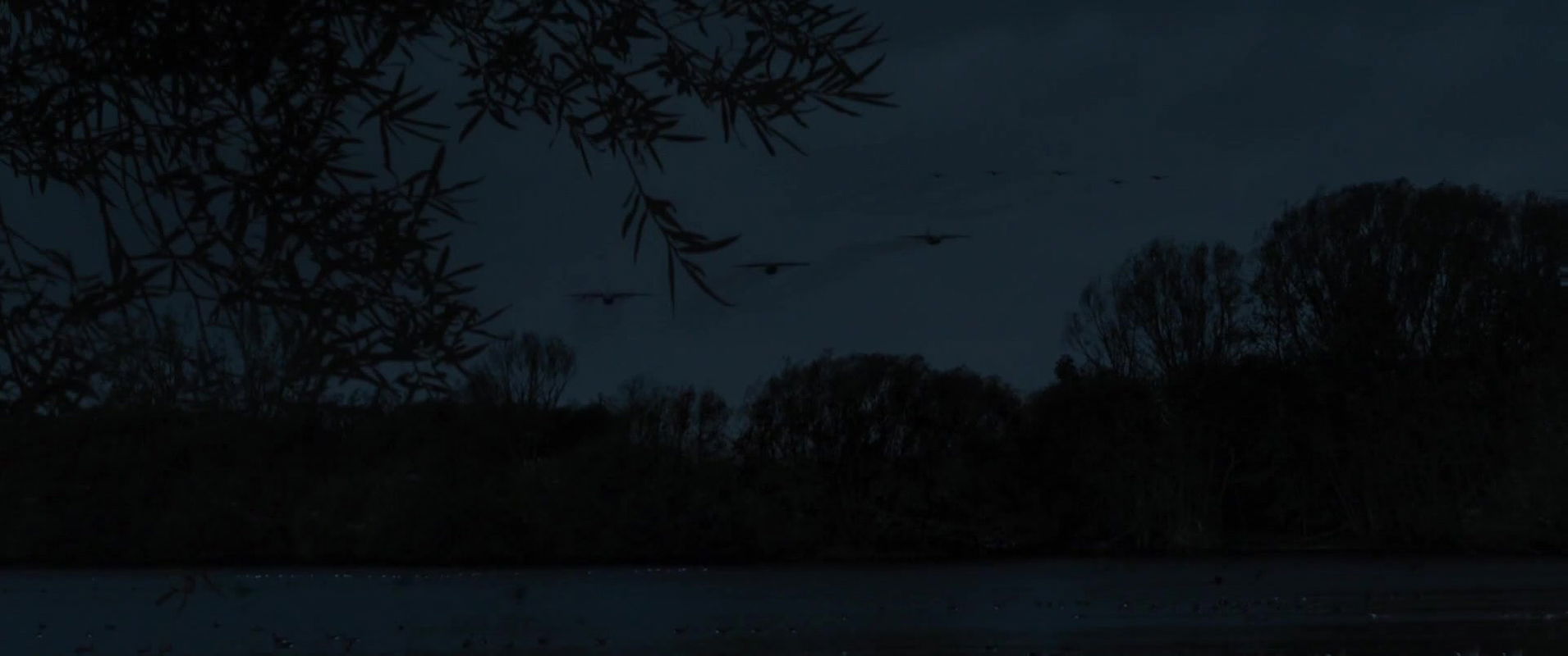 dana markova – deckname holec