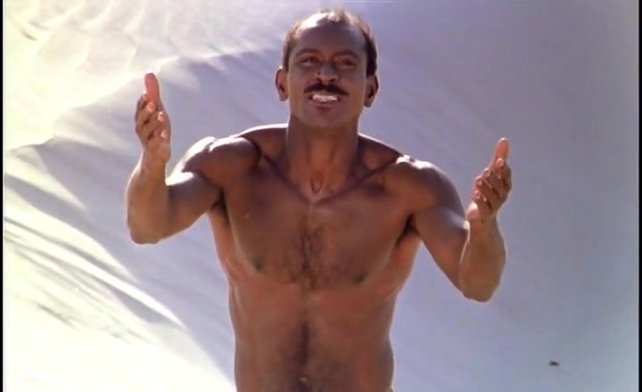 danielle ornellas – cruz e sousa o poeta do desterro