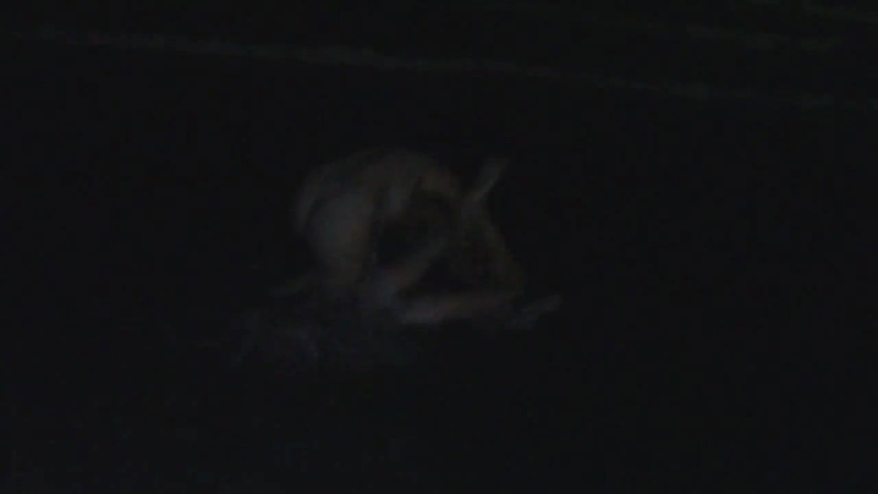 danielle rosa – a bruta flor do querer