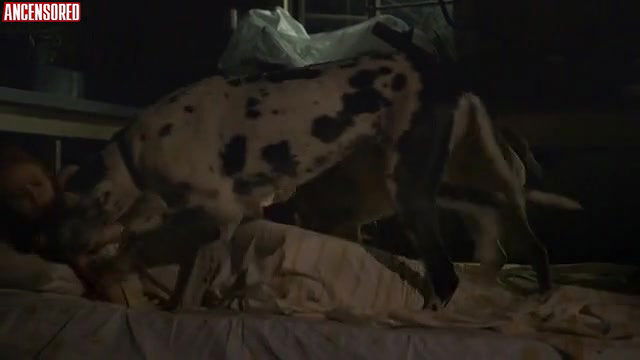 Deborah Ann Woll – Forever I