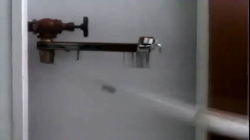 Debra Lamb – The Invisible Maniac