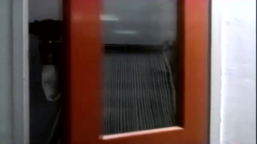 Debra Lamb – The Invisible Maniac