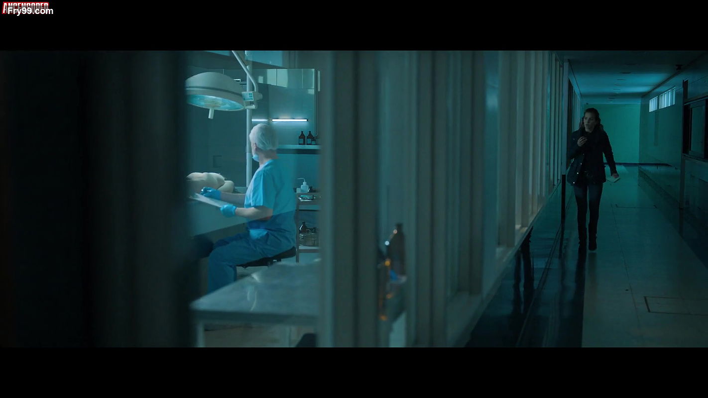 delfina chaves – intuition