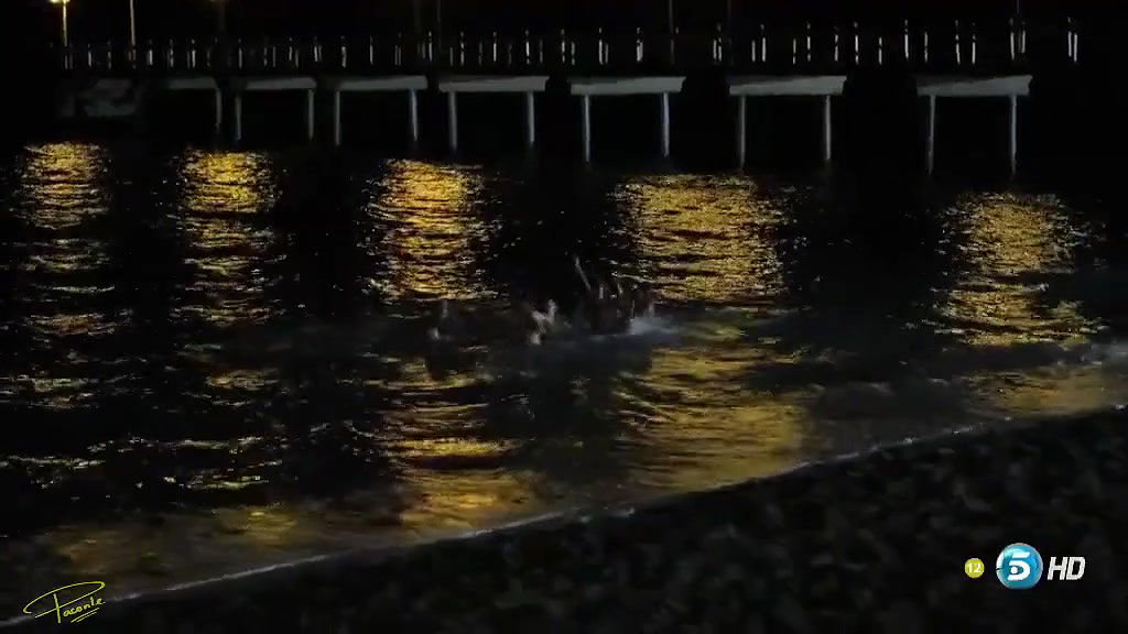 Diana G2 – el pacto