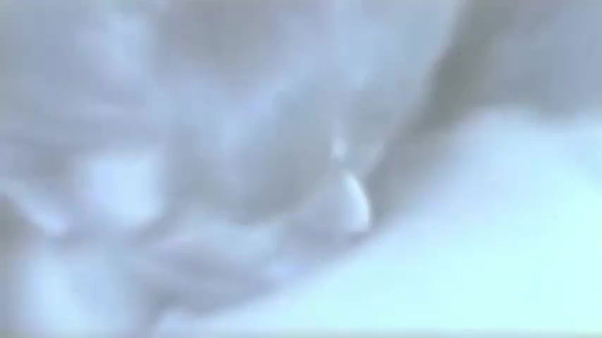 Diana Herrera – El canibal de la Guerrero