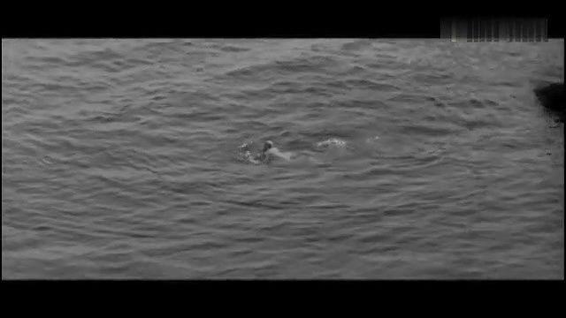 diane cilento – the full treatment