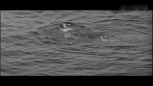 diane cilento – the full treatment