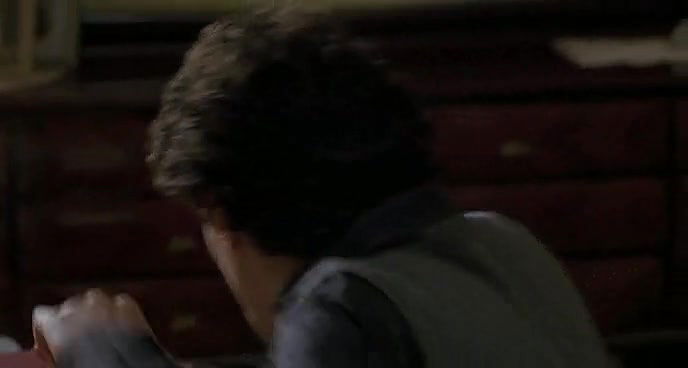 Diane Fleri – my brother is an only