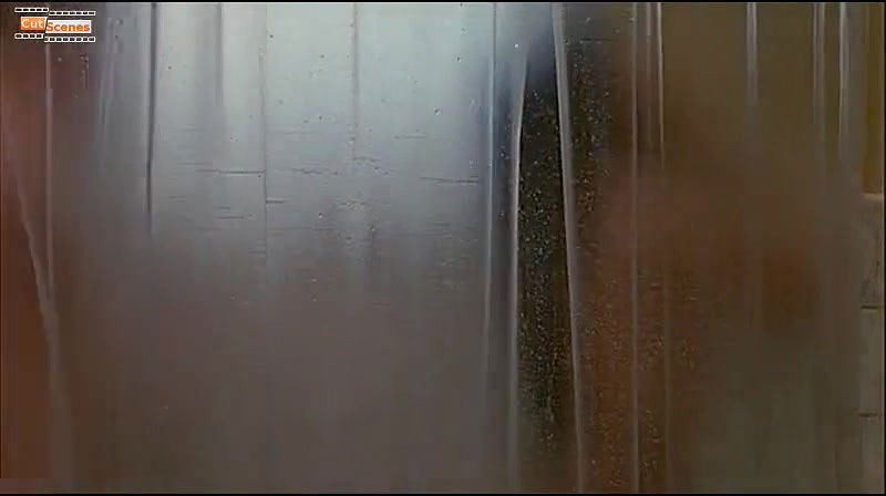 Diane Lane – Ladies and Gentlemen the Fabulous Stains