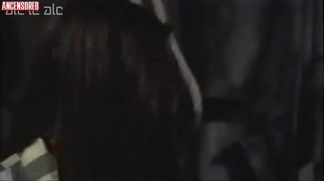 Donatella Damiani – liebes lager