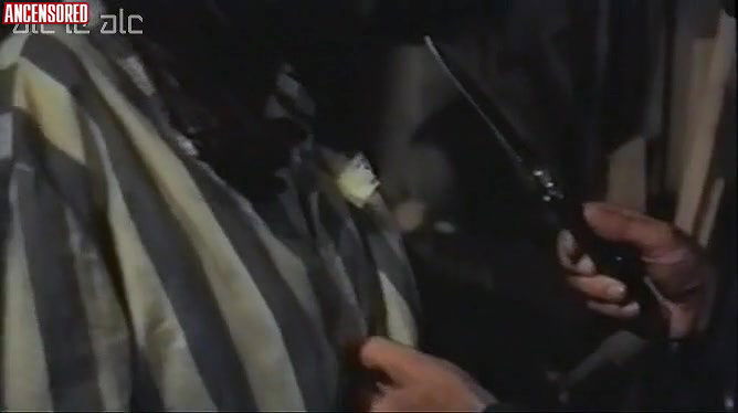 Donatella Damiani – liebes lager