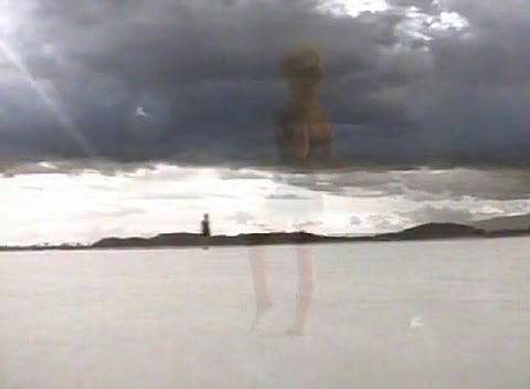 Donna D Errico – Playboy s Celebrities