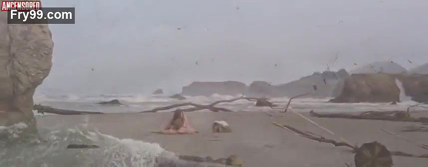 donna miller – crabs