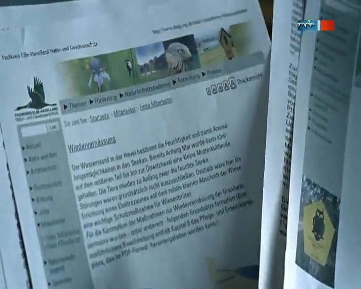 Doris Schretzmayer – die zeit der kraniche