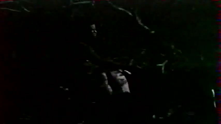 Eileen Welles – sweet savage